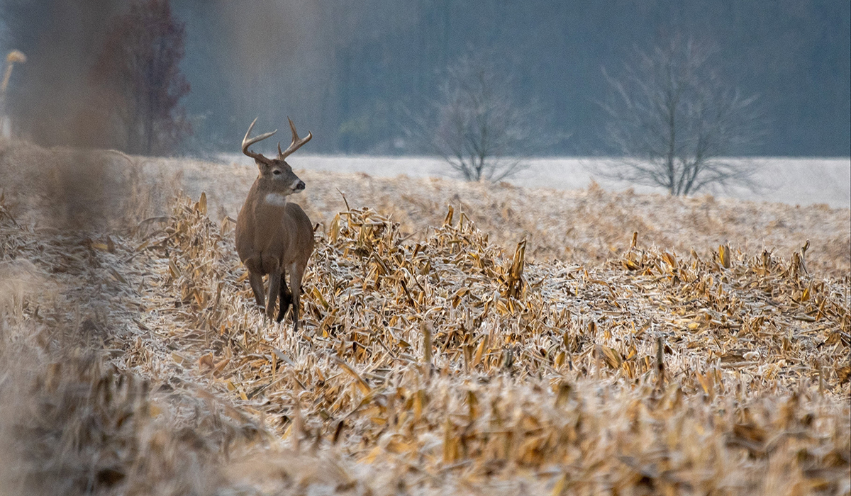 Map area of southeast Ohio deer country
