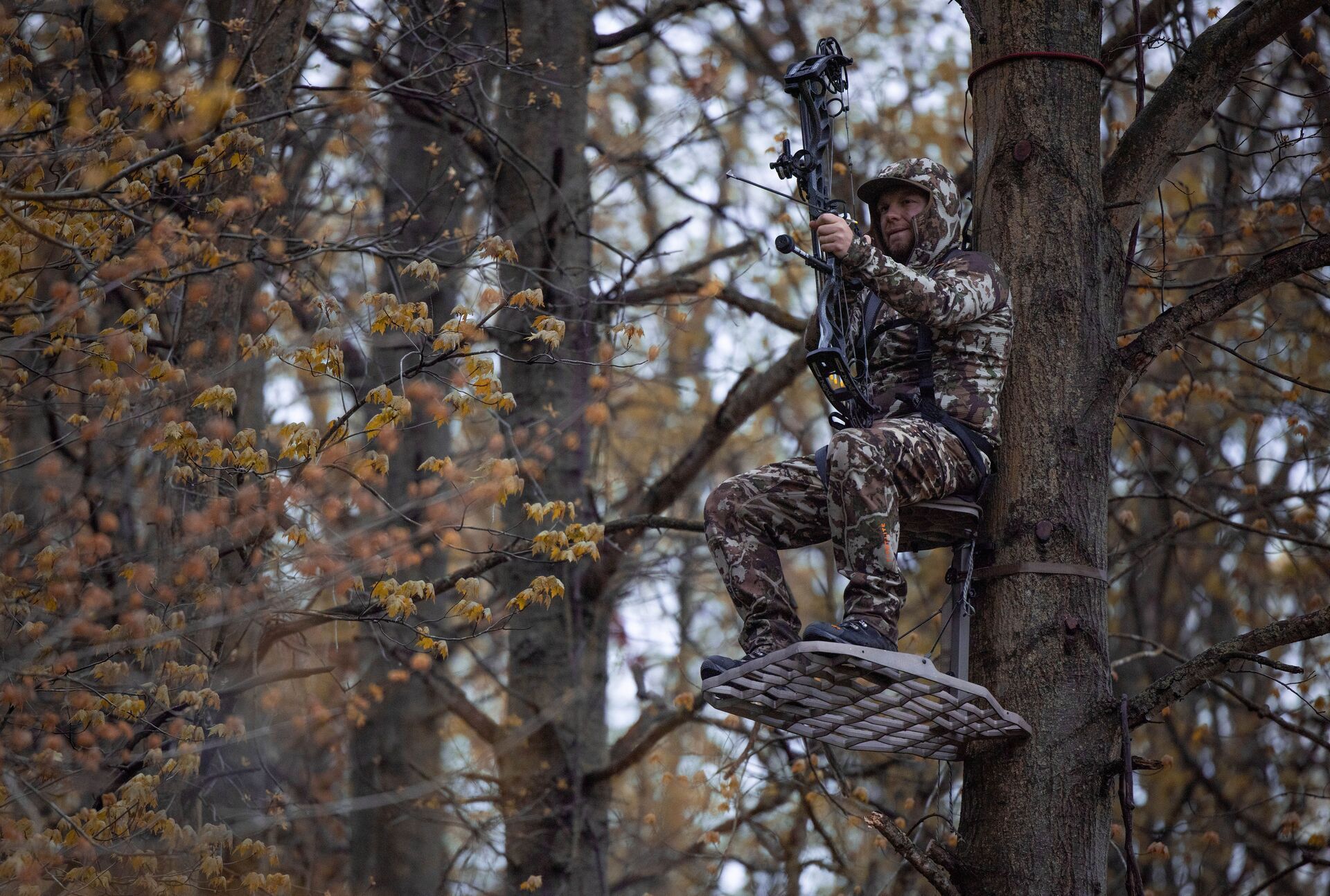 Pre-hung treestand on a managed Ohio deer farm