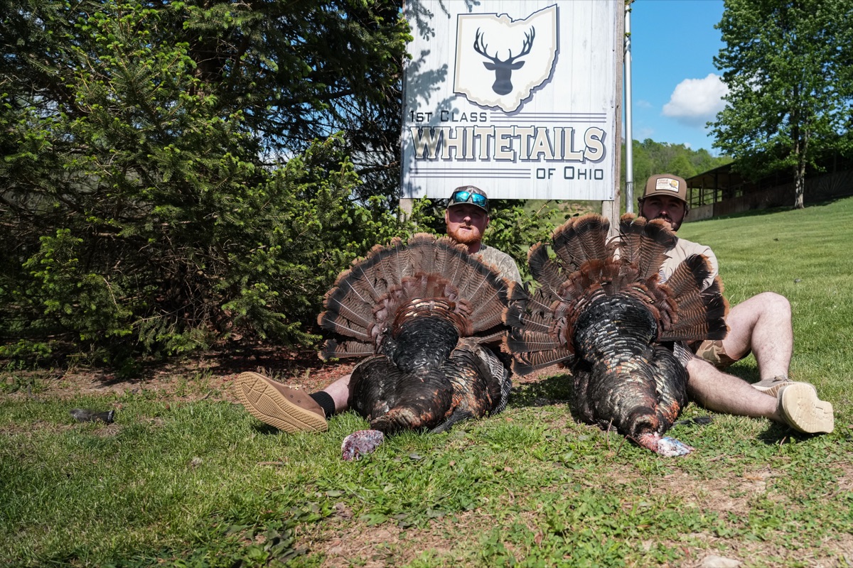 Two-man team with their pair of Ohio toms at 1st Class Whitetails
